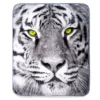 White Tiger Raschel Throw, (50" X 60") -Cheap Home Store 810469130 1