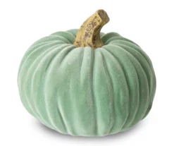 Mint Green Velvet 3-Piece Rib Pumpkin Set -Cheap Home Store 810547831 4
