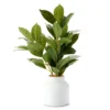 Green Artificial Banyan Plant With White Ceramic Pot -Cheap Home Store 810564615