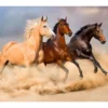 Brown & Tan Horses Raschel Throw, (50" X 60") -Cheap Home Store 810564989