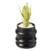 Wild Sedona Artificial Succulent In Black Ribbed Cement Pot 1 Wild Sedona Artificial Succulent In Black Ribbed Cement Pot -Cheap Home Store 810601867 A0 1