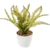 Artificial Fern In White Round Ceramic Pot 2 Artificial Fern In White Round Ceramic Pot -Cheap Home Store 810603843 A0 1