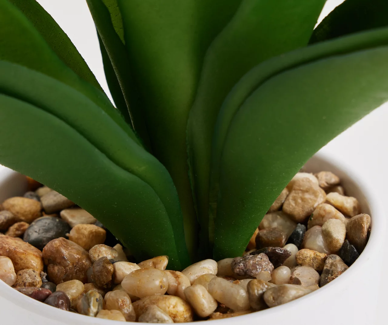 Artificial Agave Plant In White Footed Ceramic Pot 4 Artificial Agave Plant In White Footed Ceramic Pot - Image 2